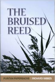 Bruised Reed